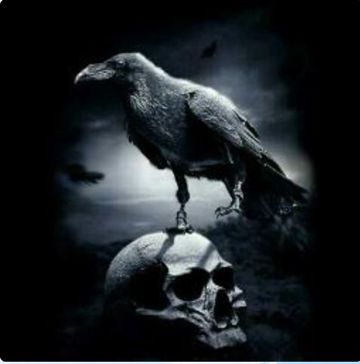 Черный ворон