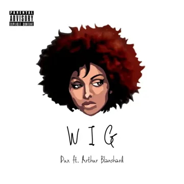 Wig-cover