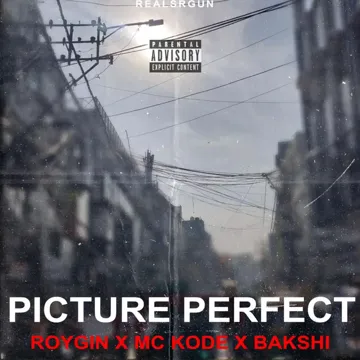 Picture Perfect (feat. Mc Kode & Ajinkya Bakshi)-cover