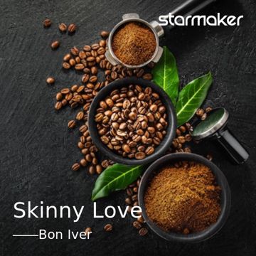 Skinny Love-cover