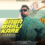 Baba Bhali Kare(Remix)-cover