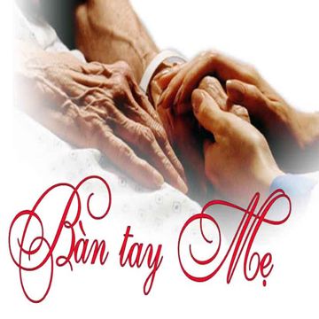 Bàn tay mẹ-cover