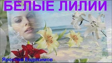 Белые лилии-cover