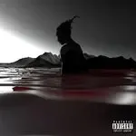 Wit-cover