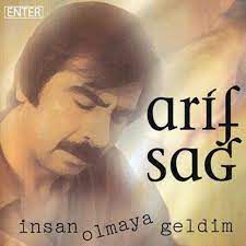 İNSAN OLMAYA GELDİM-cover
