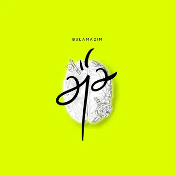 bulamadım-cover