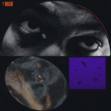 Malik-cover