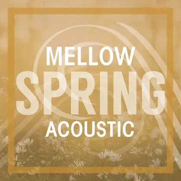 Where's My Love (Acoustic)-cover