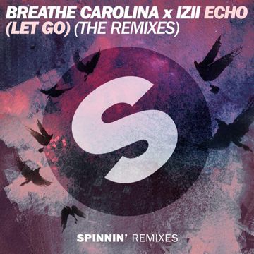 Echo (Let Go)(Sean Turk Remix)-cover