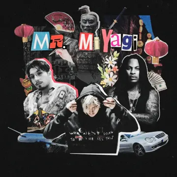 Mr. Miyagi-cover