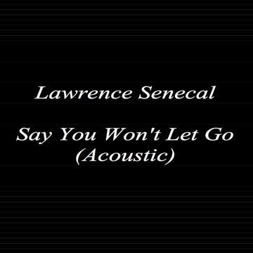 Say You Won't Let Go(Acoustic)-cover