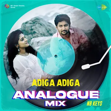 Adiga Adiga - Analogue Mix-cover