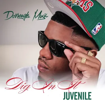 Dig In It-cover
