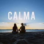 Calma (feat. GZ)-cover