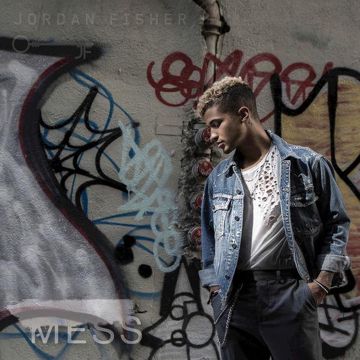 Mess-cover