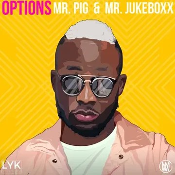 Options-cover