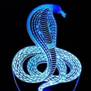 Tu Nach Toh Sahi Nagin by king cobra