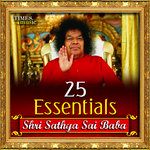 Janani Maa Sai Janani Maa-cover