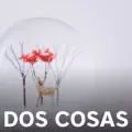 coveImg