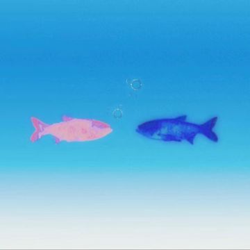不回消息，你用的是座机吗？！-cover