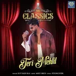 Teri Mehfil-cover