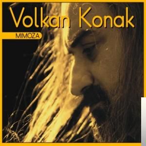 Yarim yarim-cover