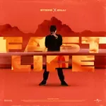 Fast Life-cover