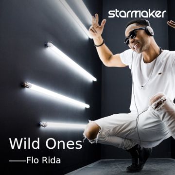 Wild Ones-cover