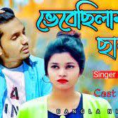 Vebechilam tumi chara jibon cholbe na-cover