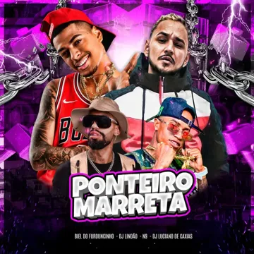 Ponteiro Marreta-cover