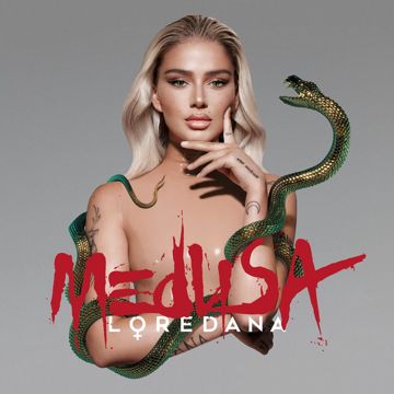 Checka-cover