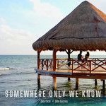 Somewhere Only We Know(Acoustic)-cover