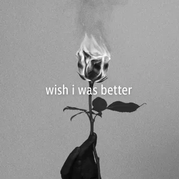 Wish I Was Better-cover