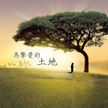 挚爱-cover