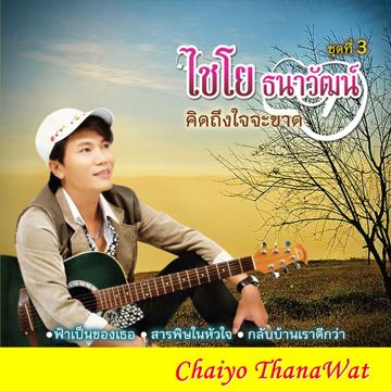 คิดถึงใจจะขาด-cover