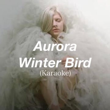 Winter Bird-cover