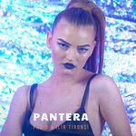 Pantera-cover