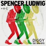 Diggy-cover