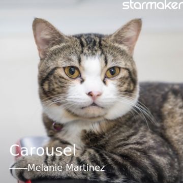 Carousel-cover