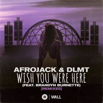 Wish You Were Here (feat. Brandyn Burnette) - Dave Summit & CastNowski Remix-cover