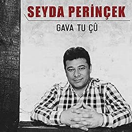 raperinseyda-perinek-gava-tu-cover-image