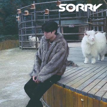 sorry-cover