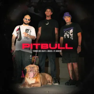 Pitbull