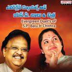 Kokila Kokila (From &quot;Pelli Chesukundham&quot;)-cover