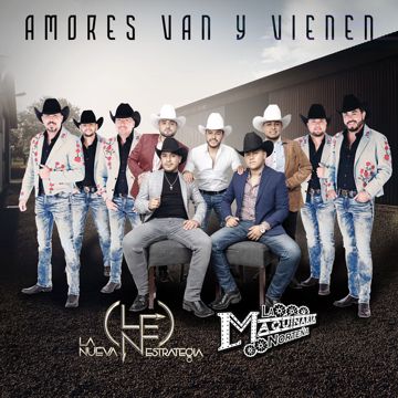 Amores Van Y Vienen-cover