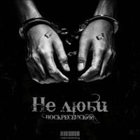 Не люби-cover
