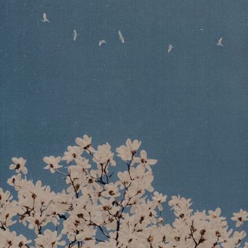 难书-cover