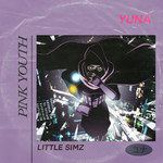 Pink Youth-cover