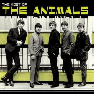 the-animals-baby-let-me-take-you-home-cover-image
