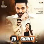 25 Ghante-cover